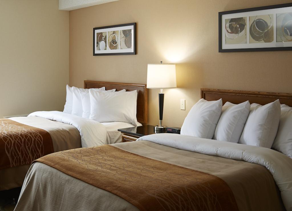 Comfort Inn East Moncton Exterior foto